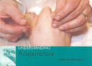 Image for Understanding Acupuncture