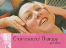 Image for Understanding Craniosacral Therapy