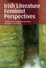 Image for Irish literature: feminist perspectives