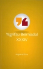 Image for Ysgrifau Beirniadol XXXIV