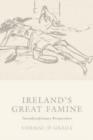 Image for Ireland&#39;s great famine  : interdisciplinary essays