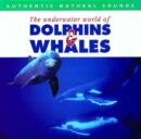 Image for Dolphins and Whales