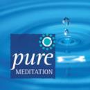 Image for Pure Meditation