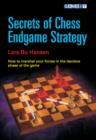 Image for Secrets of Chess Endgame Strategy