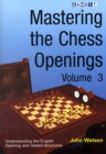 Image for Mastering the Chess Openings : v. 3