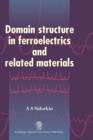 Image for Domain structure in ferroelectrics and related materials
