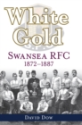 Image for White gold  : Swansea RFC 1872-1887