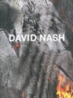 Image for David Nash - wood, metal, pigment