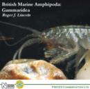 Image for British Marine Amphipoda