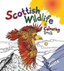Image for Scottish Wildlife