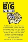 Image for Little Book: Big Picture (Pack of 25)