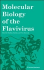 Image for Molecular Biology of the Flavivirus