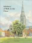 Image for Salisbury : A Walk in the Close
