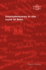 Image for Incompleteness in the Land of Sets