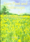 Image for Bare Feet and Buttercups : Resources for Ordinary Time