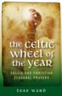 Image for The sacred wheel of the year  : Celtic Christian and Pagan prayers