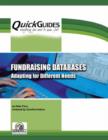 Image for Fundraising Databases Adapting for Different Needs