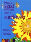 Image for How a Seed Grows into a Sunflower