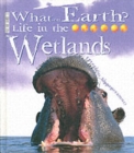 Image for Life In the Wetlands