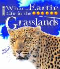 Image for Life in the grasslands