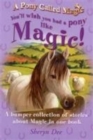 Image for You&#39;ll Wish You Had a Pony Like Magic!