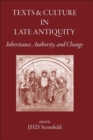 Image for Texts and Culture in Late Antiquity