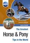 Image for The greatest horse &amp; pony tips in the world
