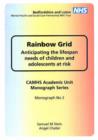 Image for Rainbow Grid : Anticipating the Lifespan Needs of Children and Adolescents at Risk