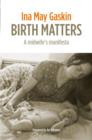 Image for Birth Matters : A Midwife&#39;s Manifesta