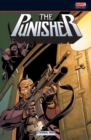 Image for Punisher, The: Eternal War