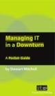 Image for Managing IT in a downturn: a pocket guide