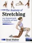 Image for The anatomy of stretching  : your illustrated guide to flexibility and injury rehabilitation