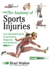 Image for The anatomy of sports injuries  : your illustrated guide to prevention, diagnosis and treatment