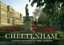 Image for Cheltenham : Little Souvenir