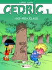 Image for High-risk class