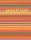 Image for Bridget Riley - Die Streifenbilder, the stripe paintings, 1961-2012