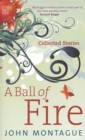 Image for A Ball of Fire : Collected Stories