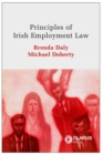 Image for Principles of Irish Employment Law