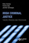 Image for Irish Criminal Justice : Theory, Process and Procedure
