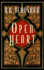 Image for Open heart
