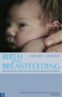 Image for Birth and breastfeeding: rediscovering the needs of women in pregnancy and childbirth