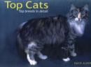 Image for Top Cats