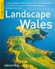 Image for Landscape Wales (Pocket Wales)