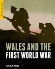 Image for Wales and the First World War