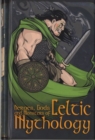 Image for Heroes, Gods and Monsters of Celtic Mythology