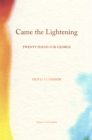 Image for Came the lightening  : twenty poems for George