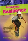 Image for Promoting resilience