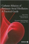 Image for Catheter Ablation of Persistent Atrial Fibrillation: A Practical Guide