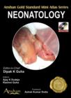 Image for Mini Atlas of Neonatology