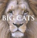 Image for BIG CATS